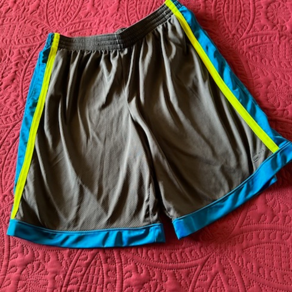 Champion sport shorts XL  , elastic waist, excellent condition.